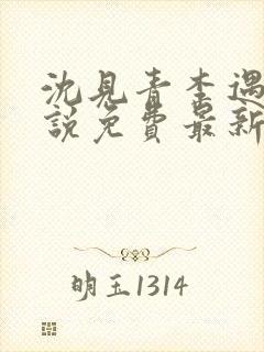 沈见青李遇泽小说免费最新章节阅读