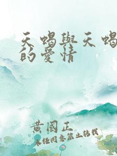 天蝎与天蝎之间的爱情
