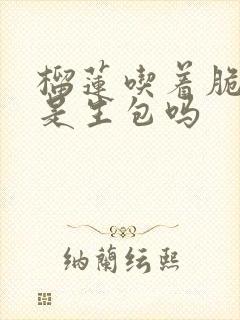 榴莲吃着脆脆的是生包吗