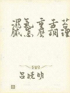 湿气重舌苔黄厚腻怎么调理