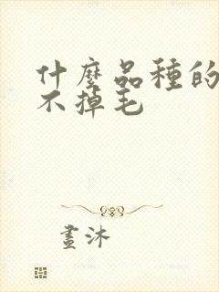 什么品种的猫咪不掉毛