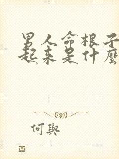 男人命根子硬不起来是什么原因