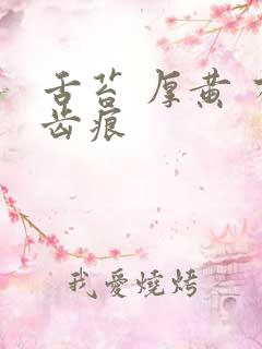 舌苔 厚黄 有齿痕