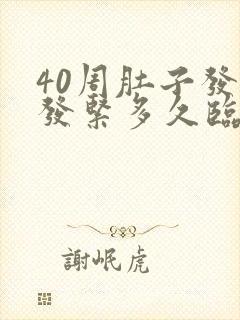 40周肚子发硬发紧多久临产