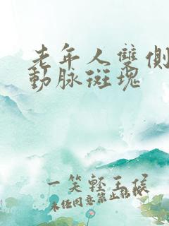 老年人双侧颈部动脉斑块