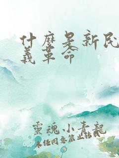 什么是新民主主义革命