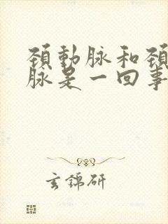 颈动脉和颈内动脉是一回事吗