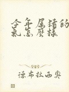 今年属猪的人运气怎么样