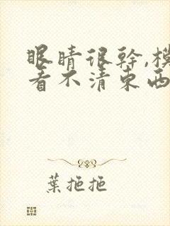 眼睛很干,模糊看不清东西怎么回事