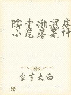 阴囊潮湿瘙痒起小疙瘩是什么原因造成的