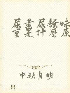 尿黄尿骚味特别重是什么原因