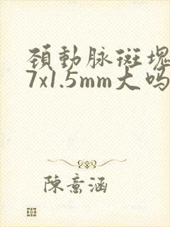 颈动脉斑块5.7x1.5mm大吗