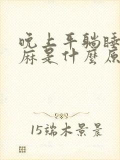 晚上平躺睡觉手麻是什么原因引起的