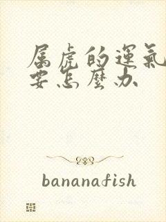 属虎的运气不好要怎么办