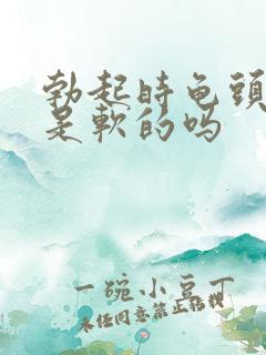 勃起时龟头应该是软的吗