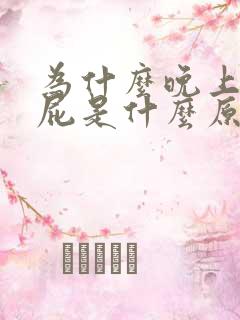 为什么晚上光放屁是什么原因