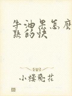 牛油果怎么保存熟的快