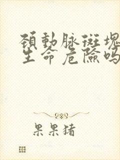 颈动脉斑块会有生命危险吗