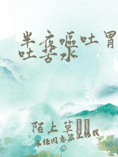 半夜呕吐胃难受吐苦水