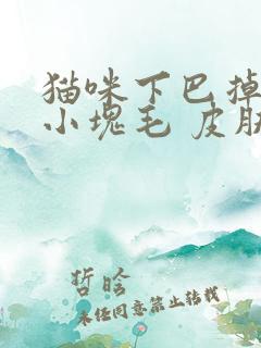 猫咪下巴掉了一小块毛 皮肤很红