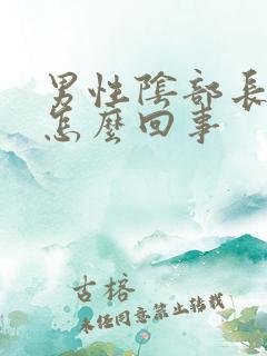 男性阴部长豆豆怎么回事