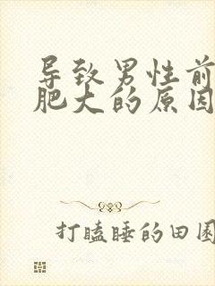 导致男性前列腺肥大的原因