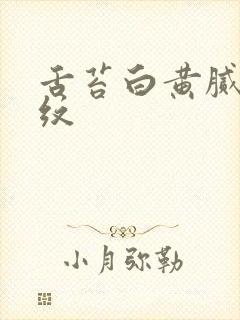 舌苔白黄腻有裂纹