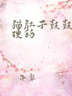 猫肚子鼓鼓的硬硬的