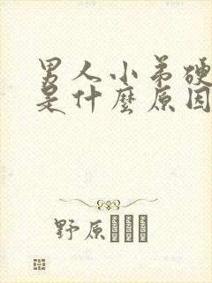 男人小弟硬不起是什么原因