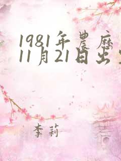1981年农历11月21日出生的鸡命运