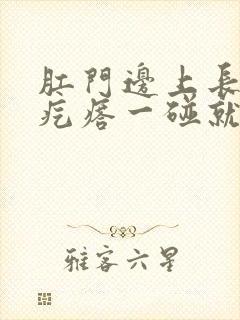 肛门边上长了个疙瘩一碰就疼