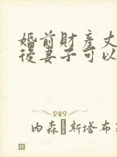 婚前财产丈夫死后妻子可以继承吗