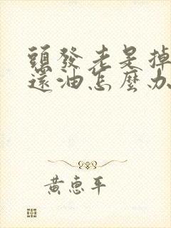 头发老是掉而且还油怎么办