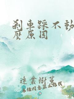 刹车踩不动是什么原因