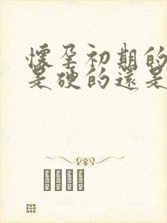 怀孕初期的肚子是硬的还是软的