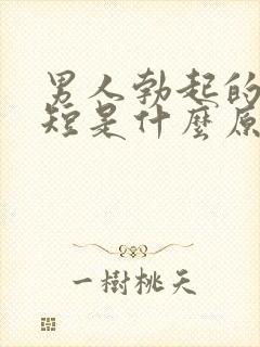 男人勃起的时间短是什么原因