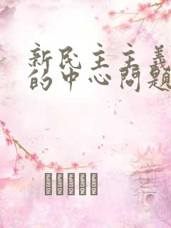 新民主主义革命的中心问题是( )