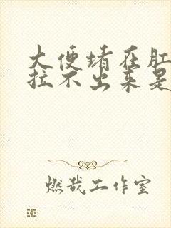 大便堵在肛门口拉不出来是便秘吗