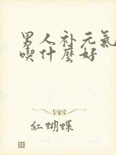 男人补元气固精吃什么好