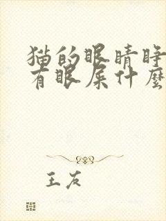 猫的眼睛睁不开有眼屎什么原因造成