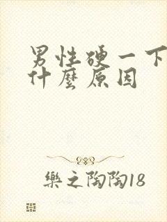 男性硬一下就软什么原因