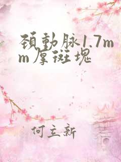 颈动脉1.7mm厚斑块