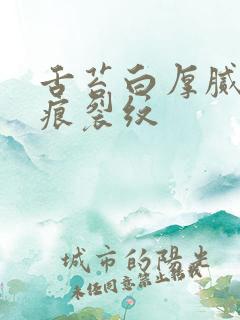 舌苔白厚腻有齿痕裂纹