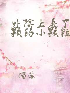 外阴上长了一颗颗的小颗粒