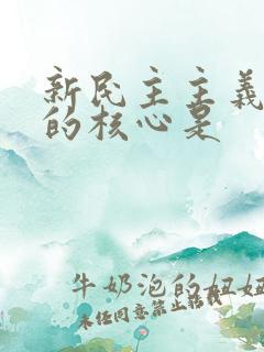 新民主主义革命的核心是