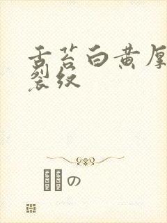 舌苔白黄厚腻有裂纹