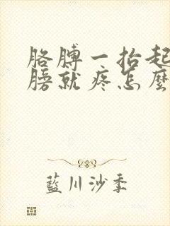 胳膊一抬起来肩膀就疼怎么回事