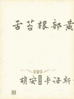 舌苔根部黄厚腻