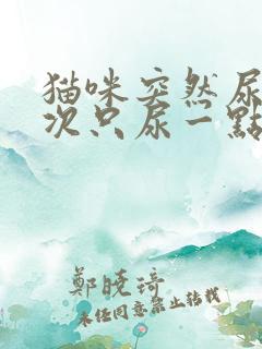 猫咪突然尿频每次只尿一点吃什么药