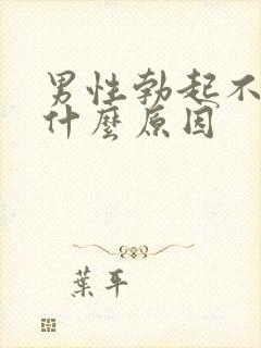 男性勃起不坚是什么原因